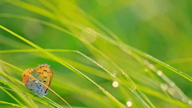 "�����ľͻ�˳˳������Ȧ�İ�"