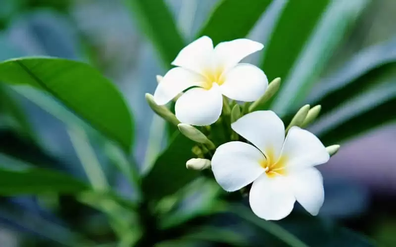 �ʺ����Ϸ���ո�µĸ����̾���̫����