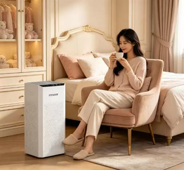 2026���Ҿ�������ȩ����������ʵ�⣺���ټ�ס����ȩ