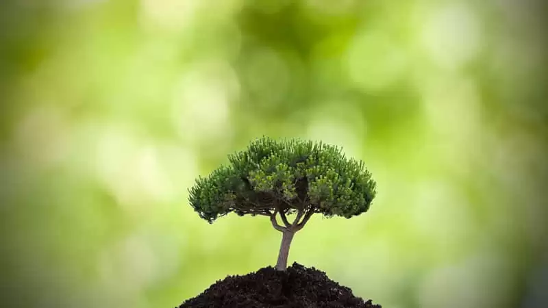 ����ʱ��������̫�ио���