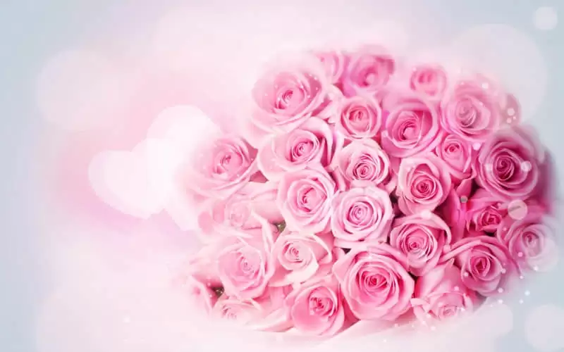 ÿ��һ��ů�Ļ��������������