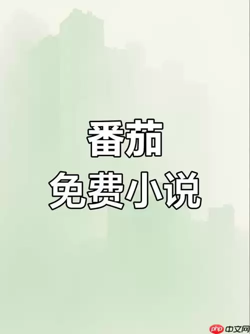 ����С˵��ҳ����ҳ���