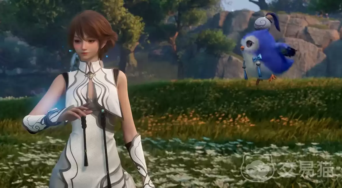 ������ҫ�������߾���ȫ����������ҫ���������·�չ�������