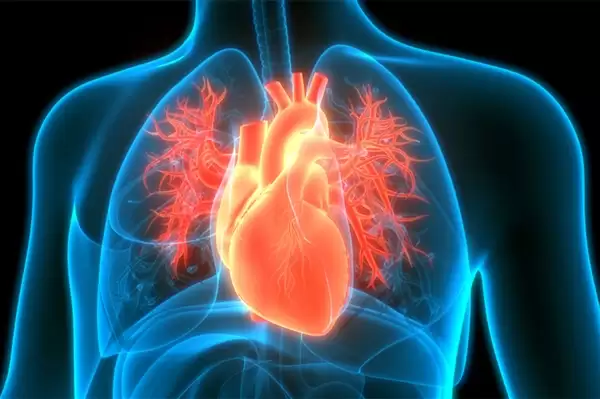 ��Դ�����Ϊʲô���������ˣ���Щ��Σ���������ÿ�춼����