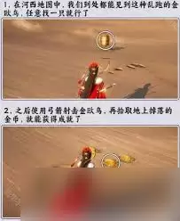 ����ʮ�����������ض�����ô��ȡ