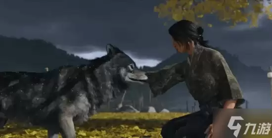 ������ɽ������ߣ��ϷĻ�� �������������ſ�ص���