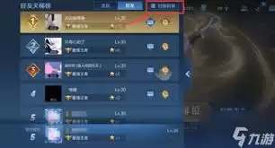 ��β鿴������ҫ������