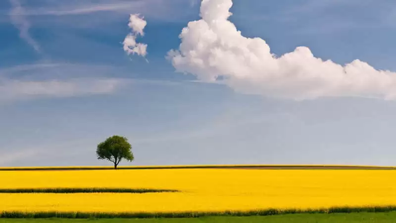 ���ʳ�¯����Ц��Ц�������ᶼ������