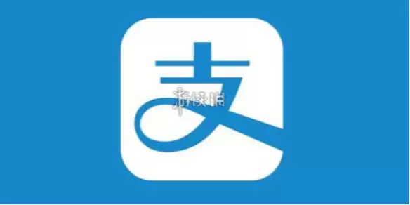 ֧������ֵ����