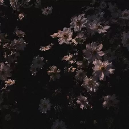 �˸�����Ů��ͷ��ɾ�(��ѡ100��)