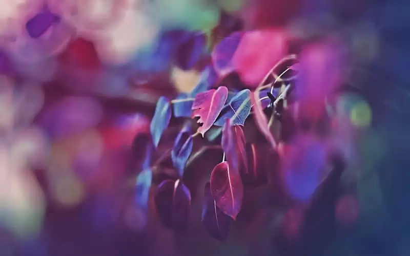 ɹ�Լ���Ƭ����Ȧһ��Ҫ������