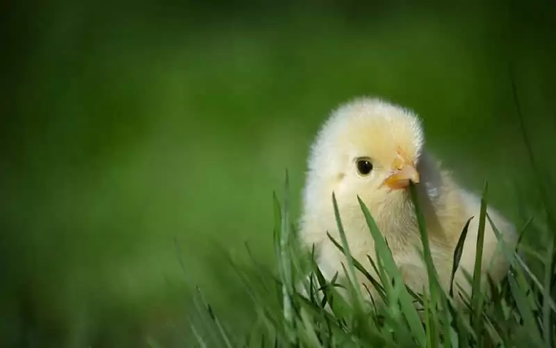 ������10���º�,ͻȻ�Ͳ����������