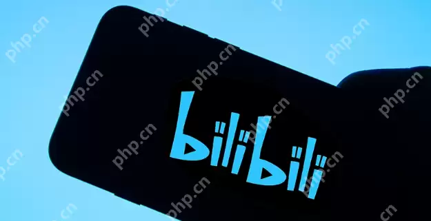 bilibili�ٷ�ƽ̨�������
