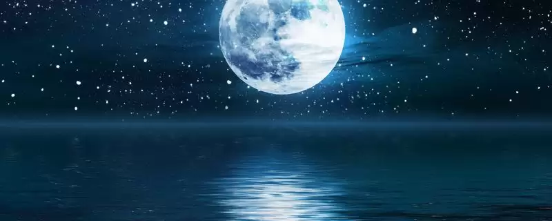 ����ʿ������