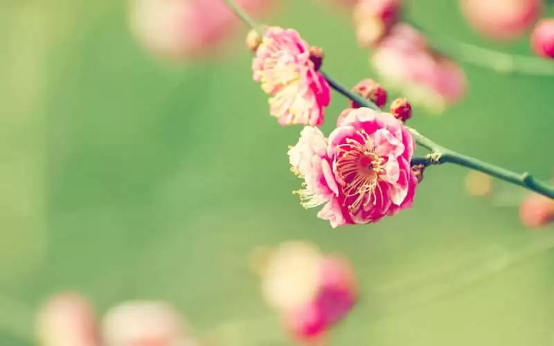 һ��һ�����˿����������簲�ʺ�