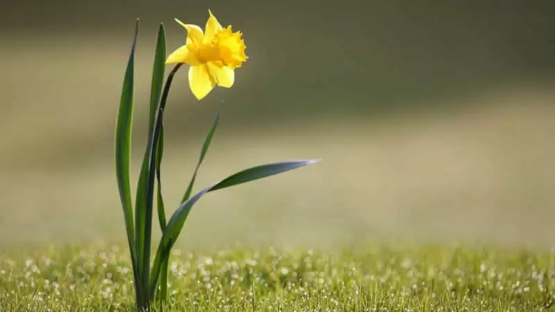 �������öԷ����ĵ���������켼��