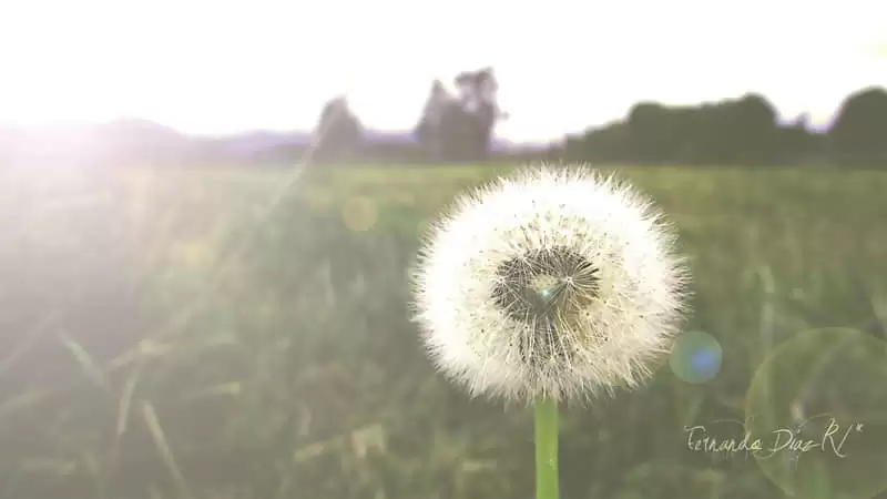 �ظ��ʼ��͵ĸ������İ�