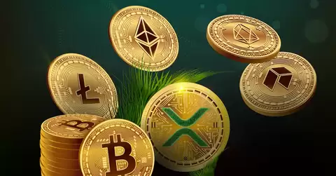 ��ҹ��������������������ذ�װ���°汾
