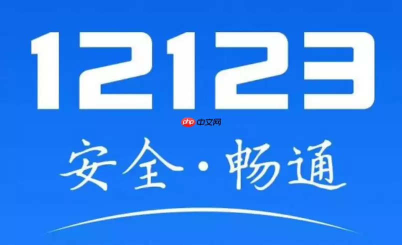 ����12123��ҳ���������˵�� ����12123�������ߵ�¼��ʽ