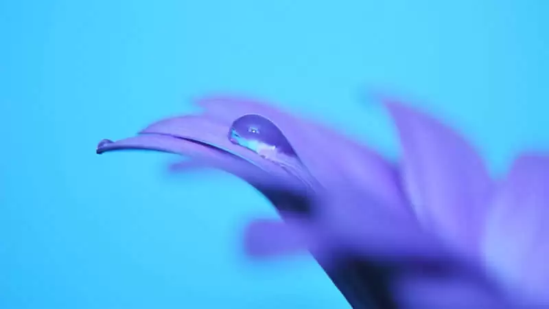Ů�˷�����ȦҪѧ�����о�