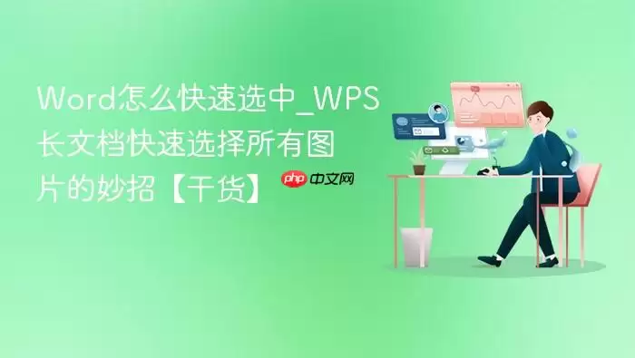 Word��ô����ѡ��_WPS���ĵ�����ѡ������ͼƬ�����С��ɻ���