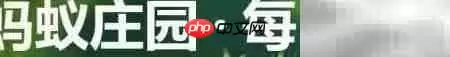�Ŵ��ֲ��ƴ�����?����ׯ԰��