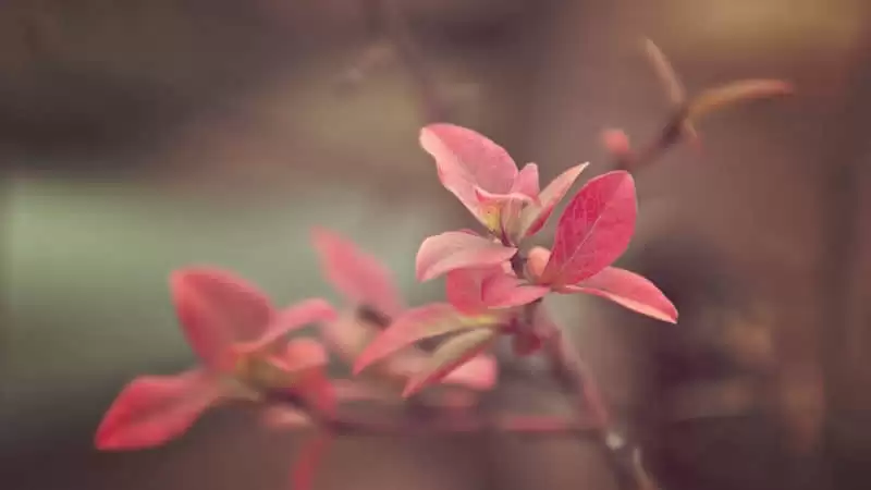 ���������������в��ľ���