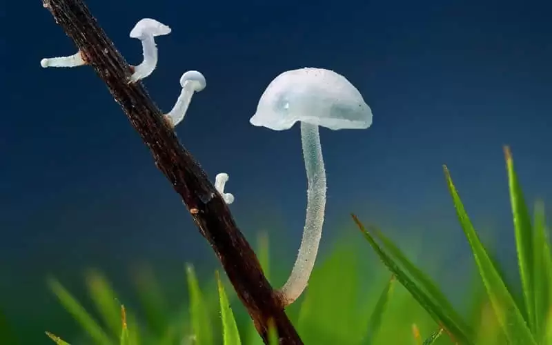 �����������Ҳ����ס���⽲
