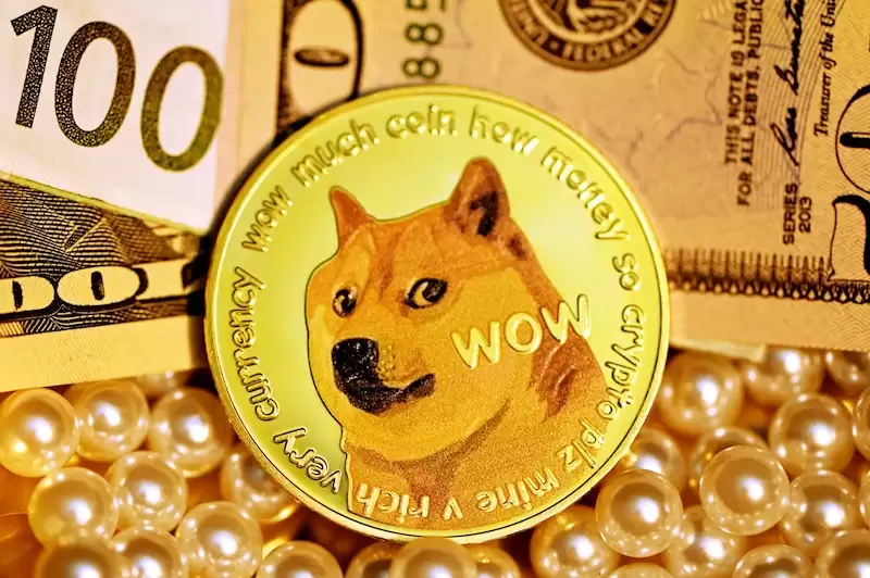 �������ܹ��򹷹��� �Ұ�������������doge�����˻�����ע�����