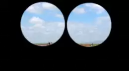 premiere��ô��Զ��Ч��