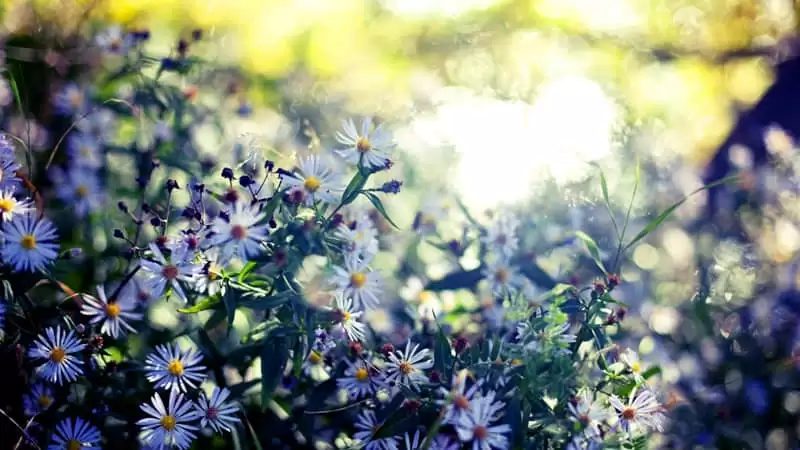 "���Ҹ�һ��ʱ��"����Ȧ�İ�