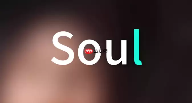 Soul��ô��������ǩ_Soul���Ա�ǩ����