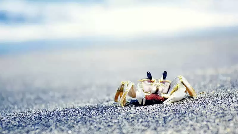 һ��Ů������Ȧ��ô��˵��������Ʒζ
