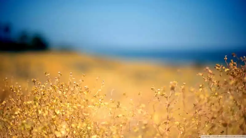 ޶һ��ȥ�������������