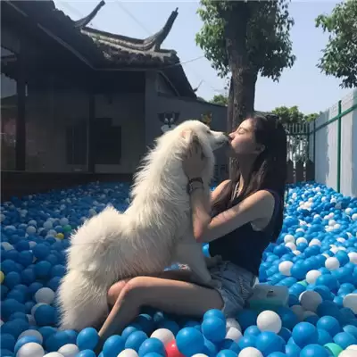 ҹ�к���������Ů������(��ѡ100��)