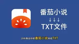 �������С˵��ε���ΪTXT