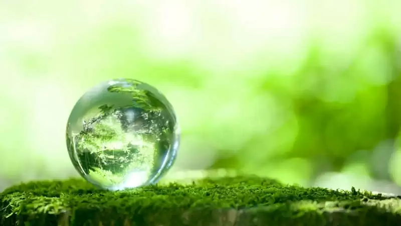 �ɾ����������ľ��ӷ�����ȦԪ������