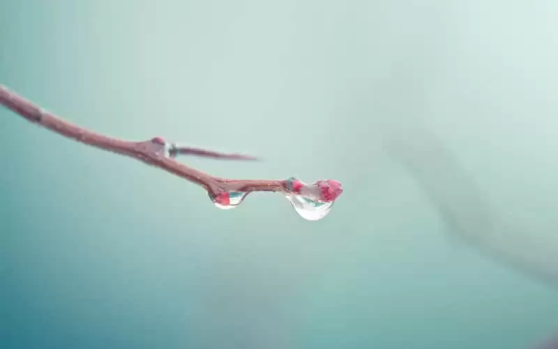 "�����˵Ĺ�ϵȫ��������"