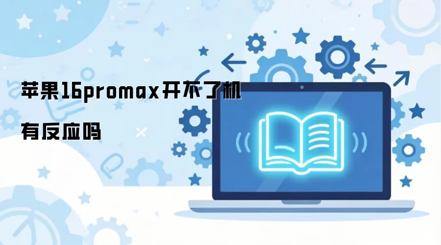 ƻ��16promax�����˻��з�Ӧ��