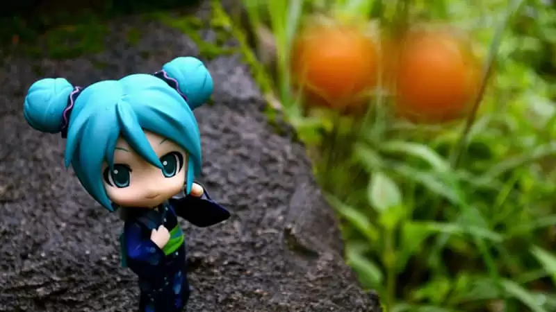 �ʺ��㳤�ڲ�����̬���İ�