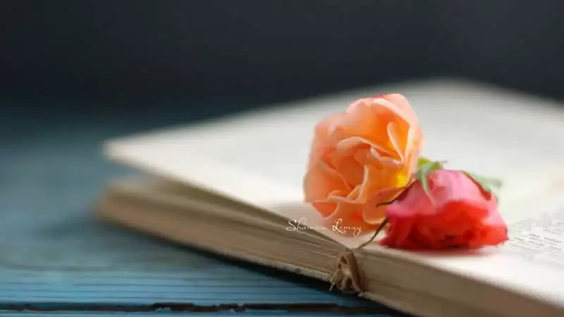 �¸����.�����İ�