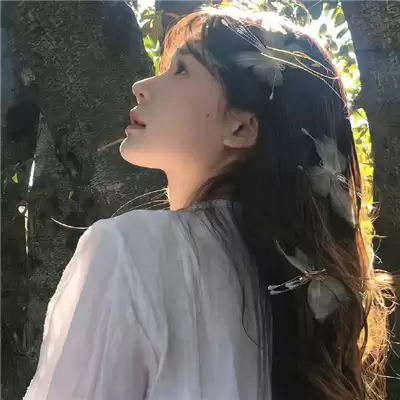 �����������ɰ�����Ů��(��ѡ100��)