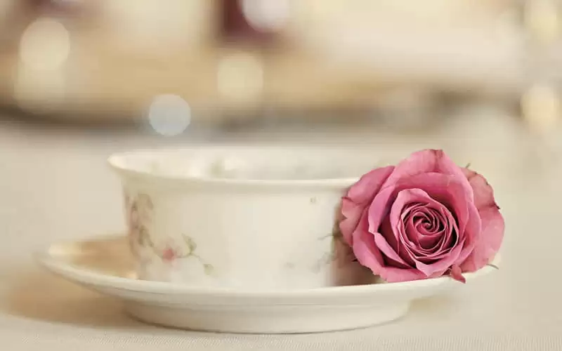 ������̵�������