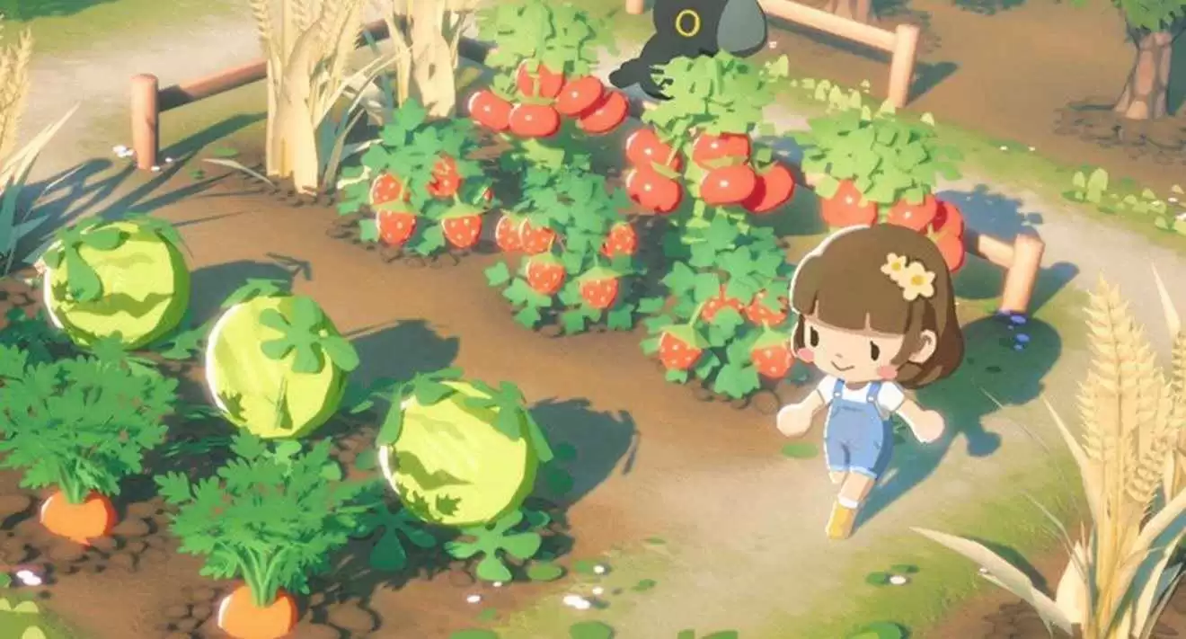 PuffPalsIslandSkies����ʱ����ɶʱ
