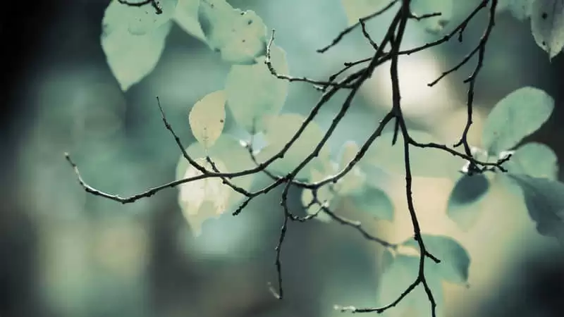 "��˵�˵��Ŀ����İ�"
