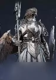 �����Ƿ�����ҹ������ӥ��������ʲô