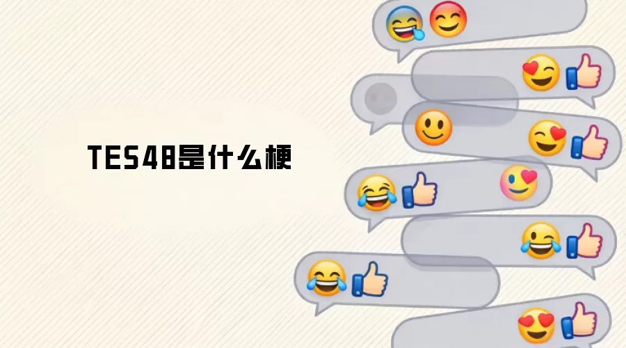 TES48��ʲô��