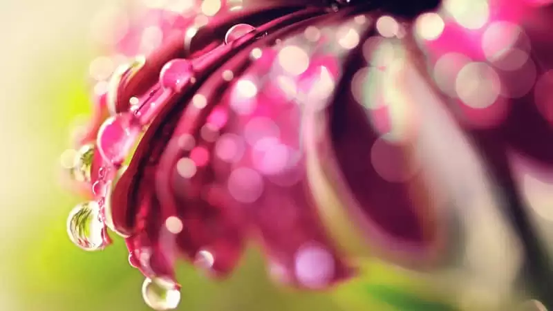 ͻȻһ���Ӿ�������