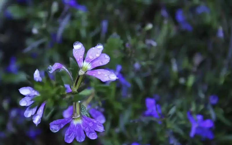 �µ�һ��������Ȧû�����������