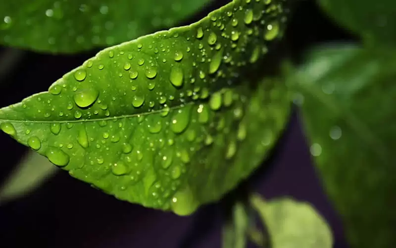 �����ľͻ�˳˳���Ҹ����İ�